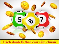 Hướng dẫn cách đánh lô theo cầu câm chuẩn không cần chỉnh
